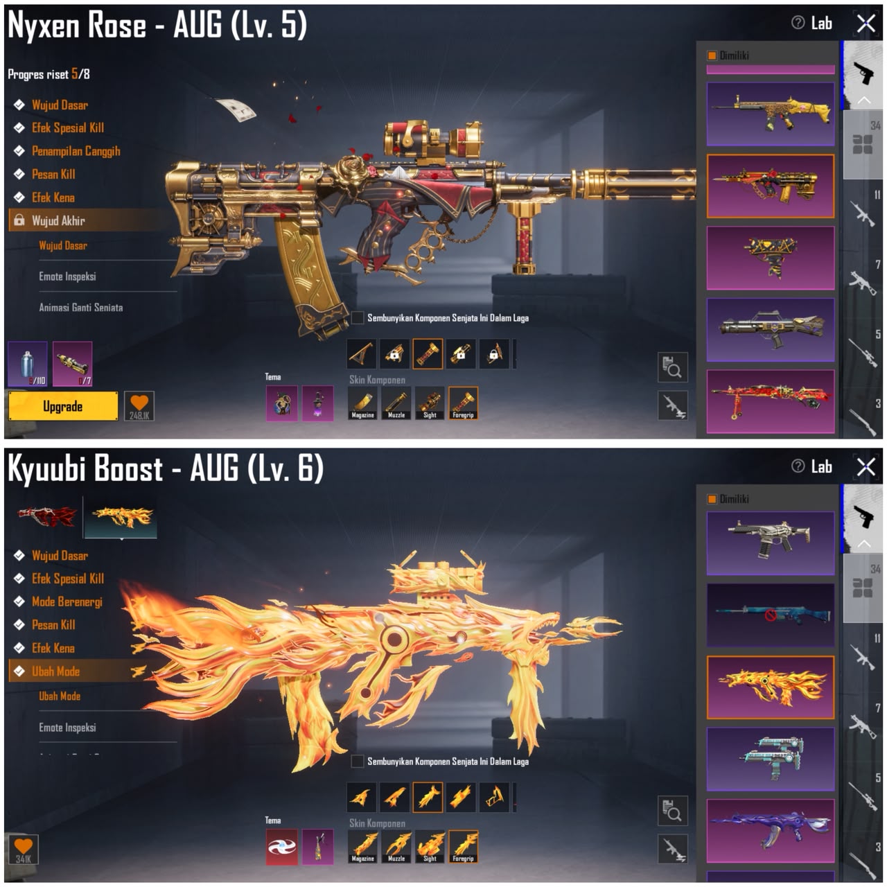 AUG COIN x KYUUBI REFF